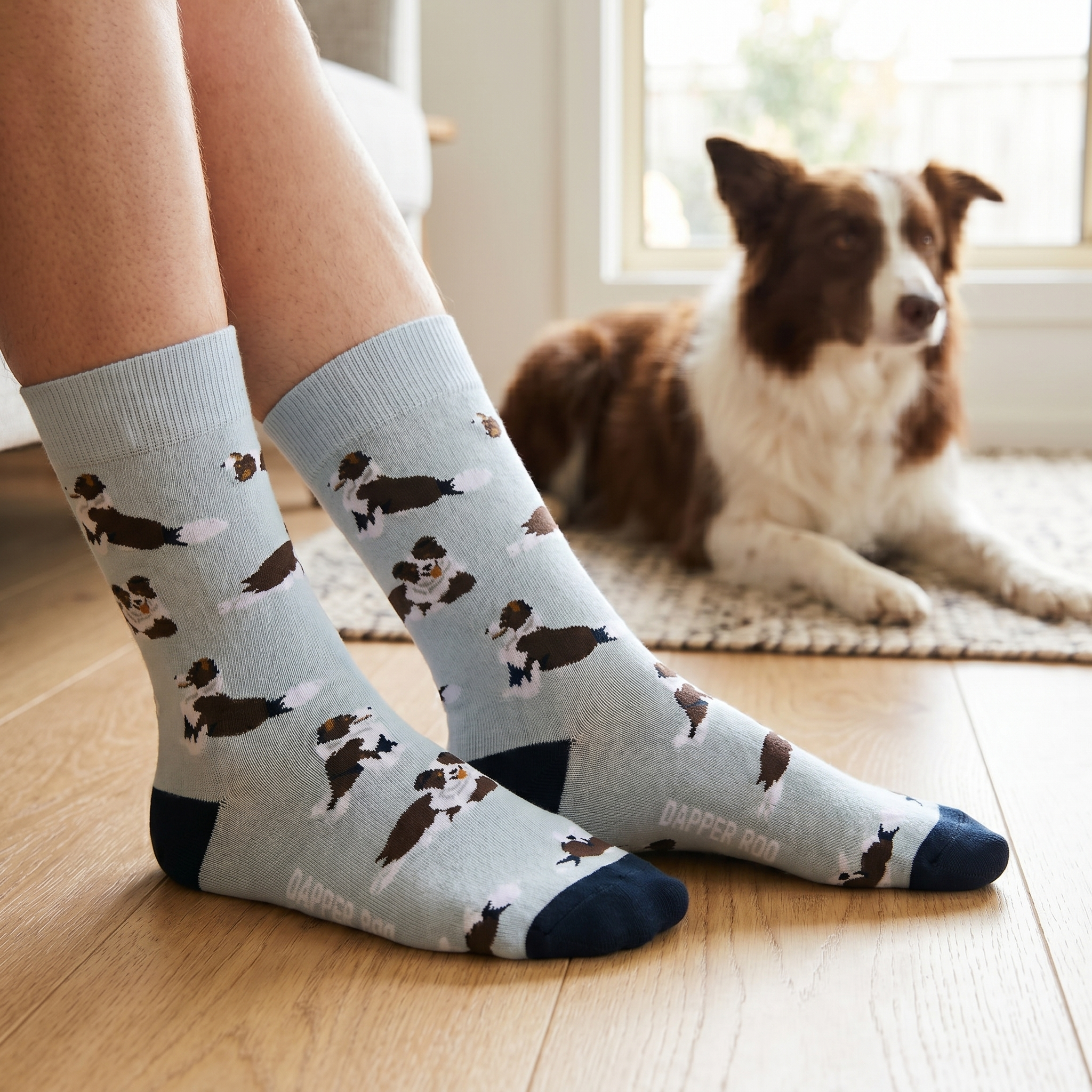 Border Collie Socks by Dapper Roo lifestyle image