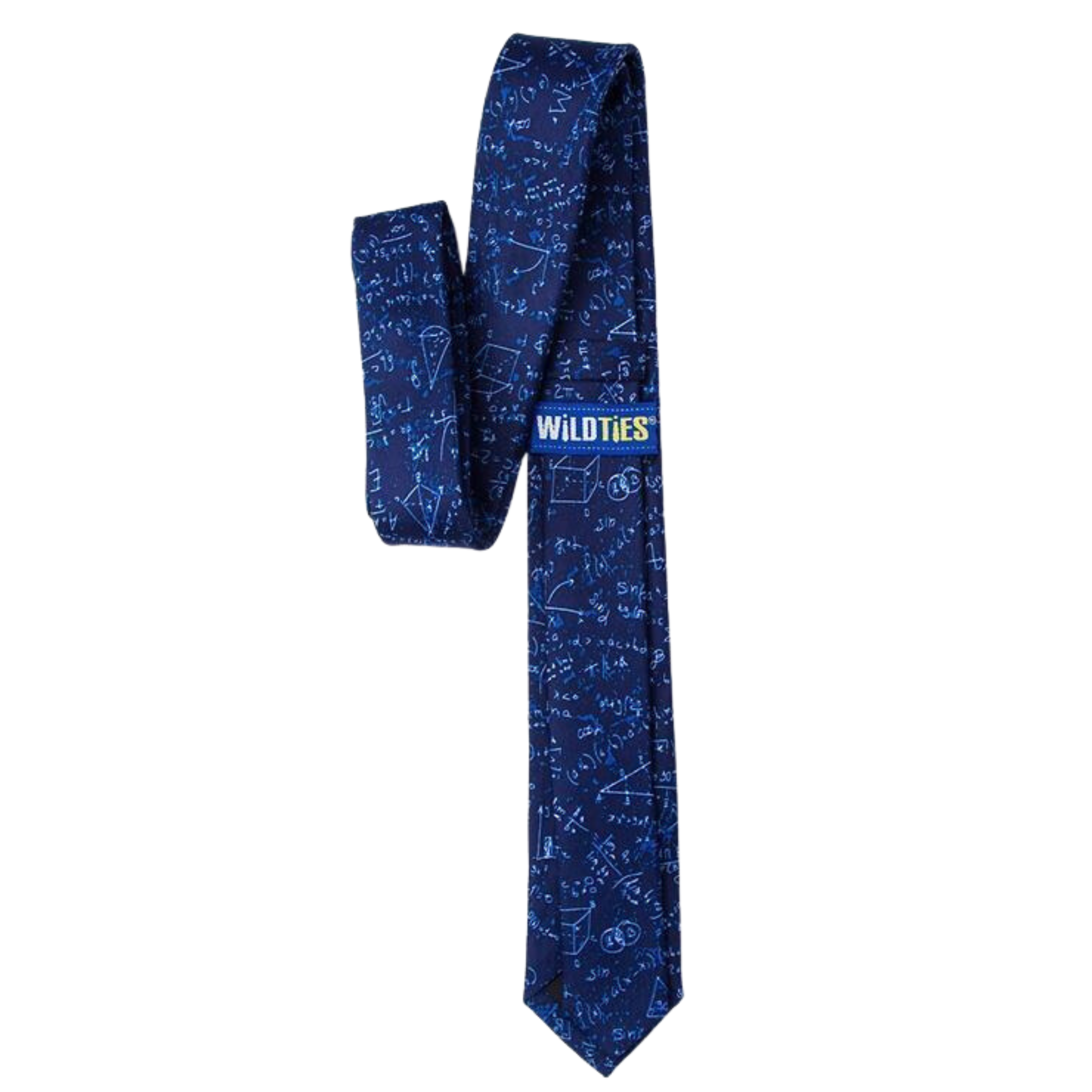Math Equations Skinny Tie